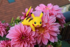 pokemon-1529246_1920
