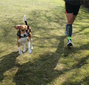 laufen mit Hund 